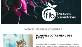 Infolettre 11 novembre